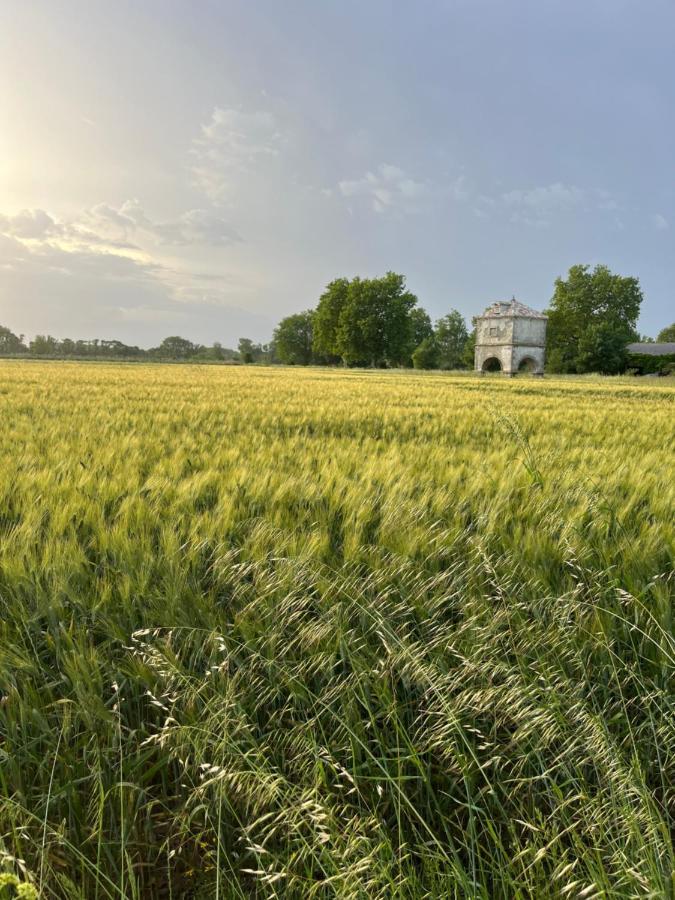 Suite A La Villa Cattus Bram Exterior foto